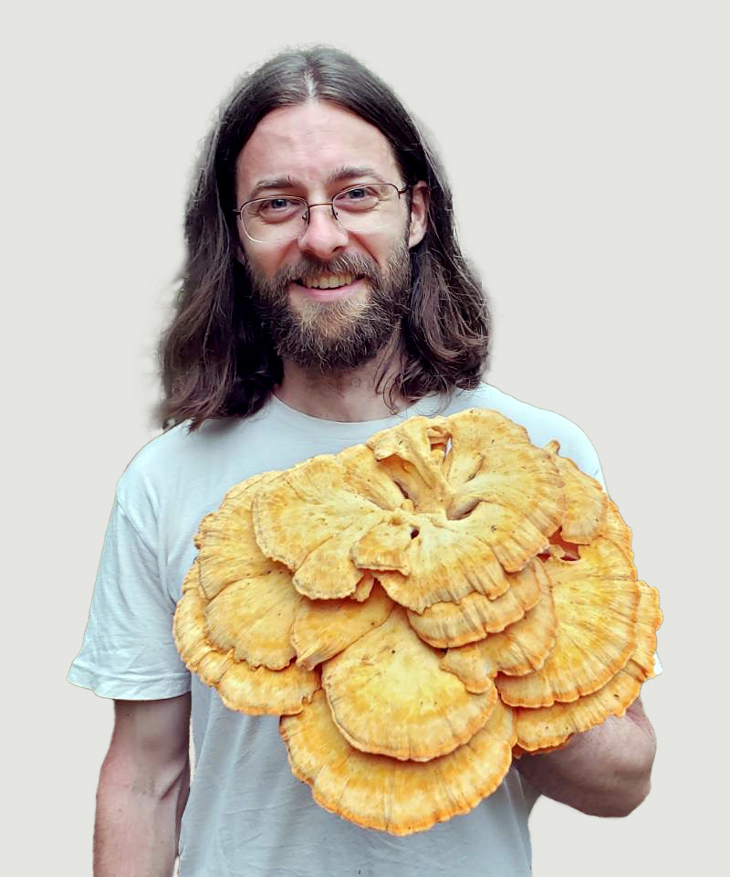 Tim Magee with Laetiporus cincinnatus